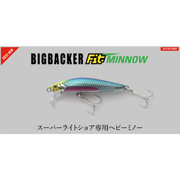 ビッグバッカー FIT MINNOW 60