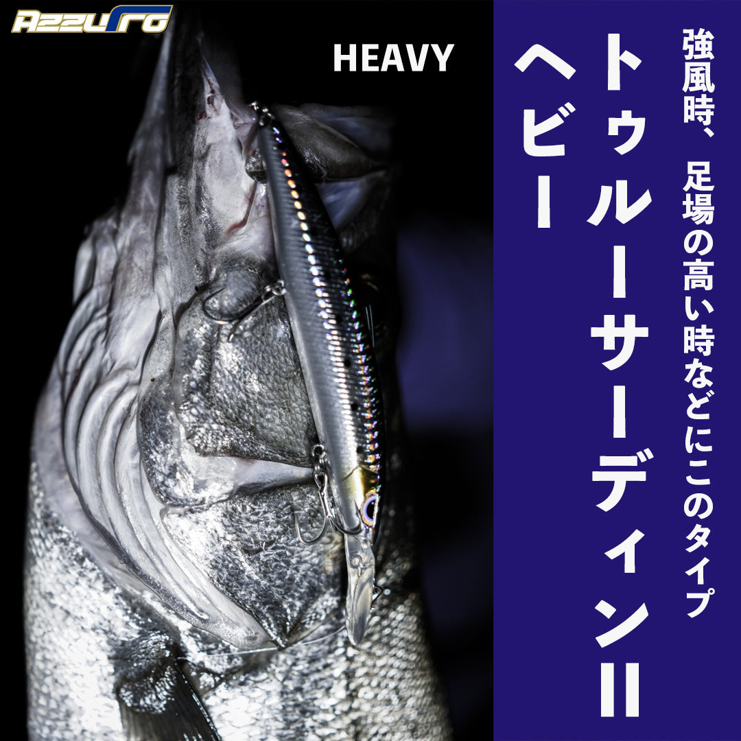 トゥルーサーディン2 HEAVY [釣りアシスタントシステム]