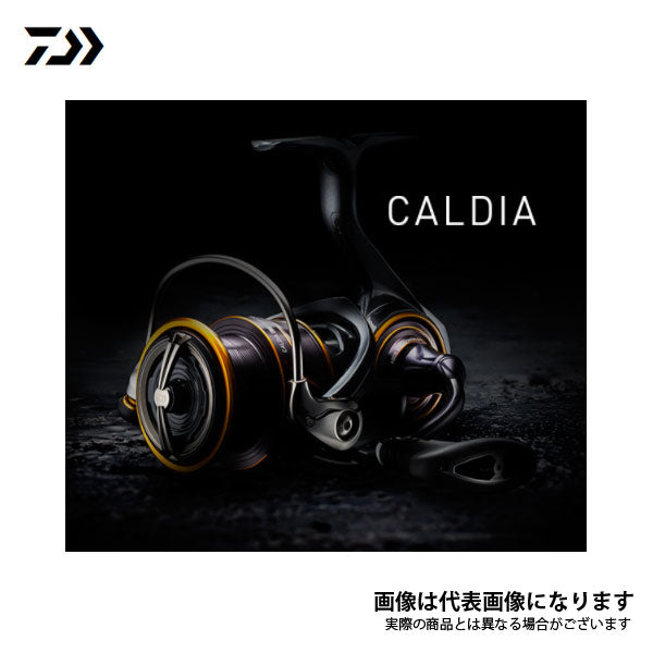 カルディア LT2500　※数量限定特価品