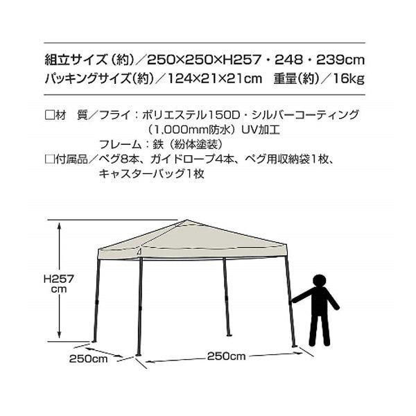 マックスフライ 25.0cm - 陸上競技