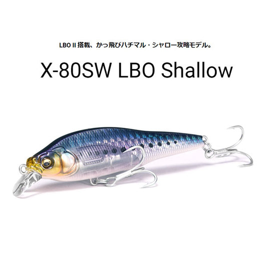 X-80SW LBO SHALLOW