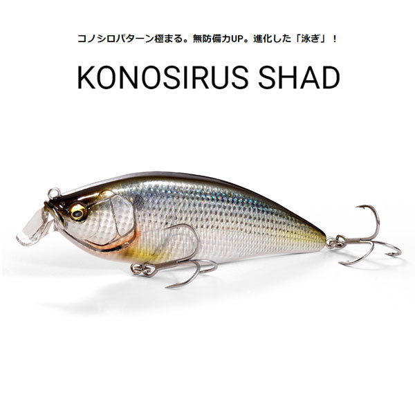 KONOSIRUS SHAD