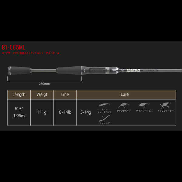 21 BPM B1-C65ML 大型便B