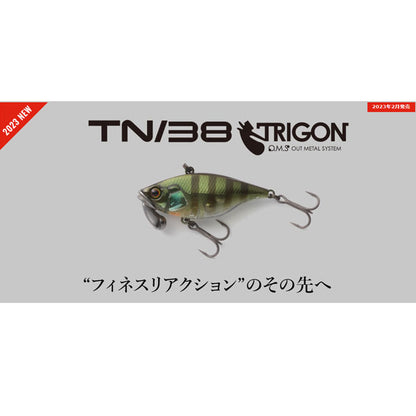 トリゴン TN38