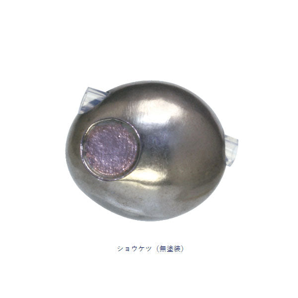 海神TGシャンクス 50g