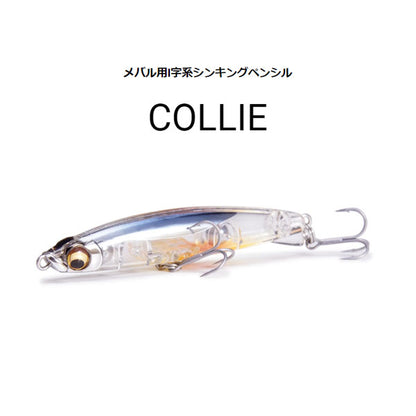 COLLIE(コリー)