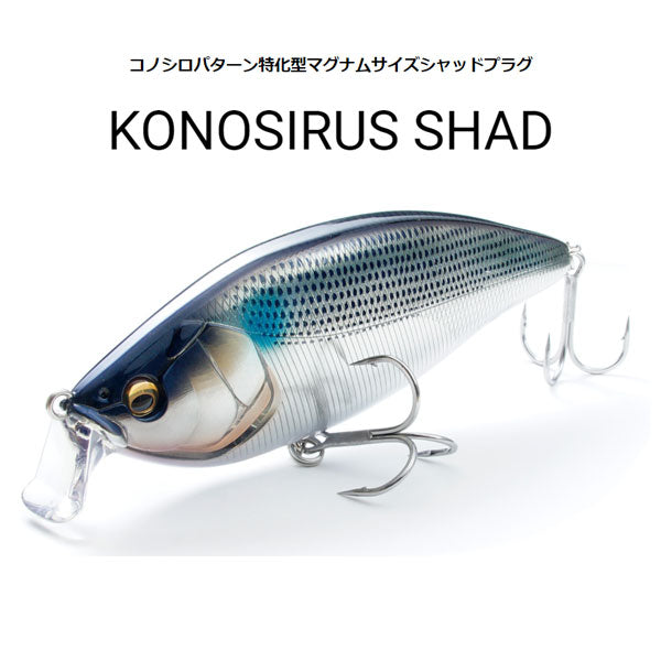 KONOSIRUS SHAD(コノシラスシャッド)